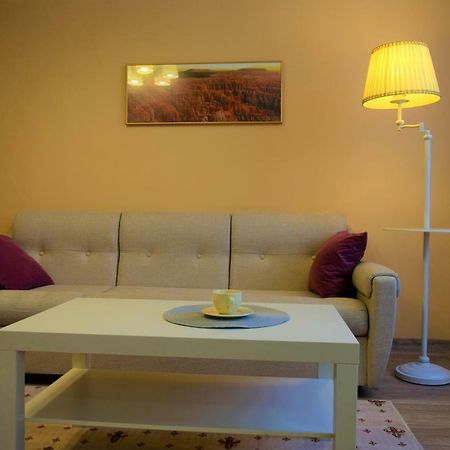 Central Comfortable One-Bedroom Apartment キシナウ エクステリア 写真
